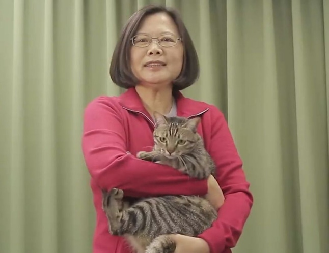 Tsai Ing-wen has been winning over Taiwan one cat at a time.